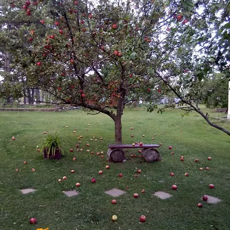 Jefimija Appartamento